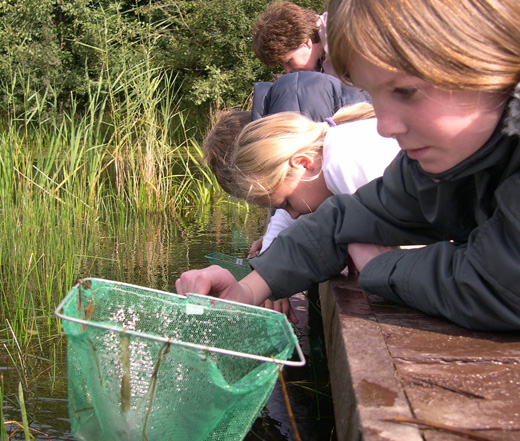 Climate Change and Barnsley Schools