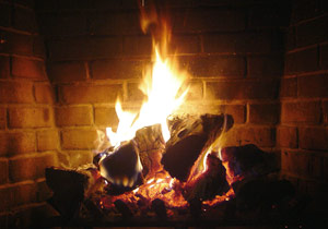 Wood is not a carbon neutral fuel Wood is not a carbon neutral fuel